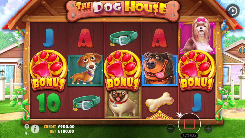 The Dog House