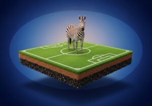 Academia de Apostas EstrelaBet: Como Apostar em zebras (Underdogs)